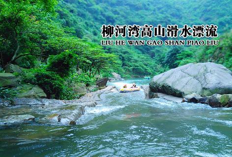 全民烧脑3去广告版